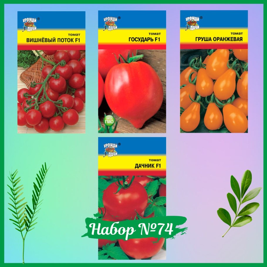 Помидоры вишневый поток