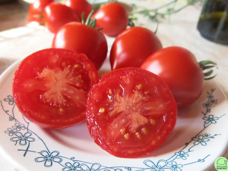 Томат Вестланд f1