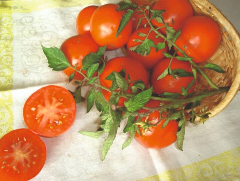 Томат отрадный