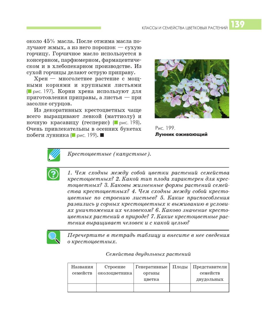 Capsella Bursa-pastoris рисунок