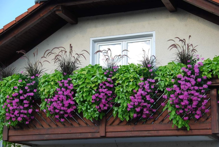 Цветущий балкон