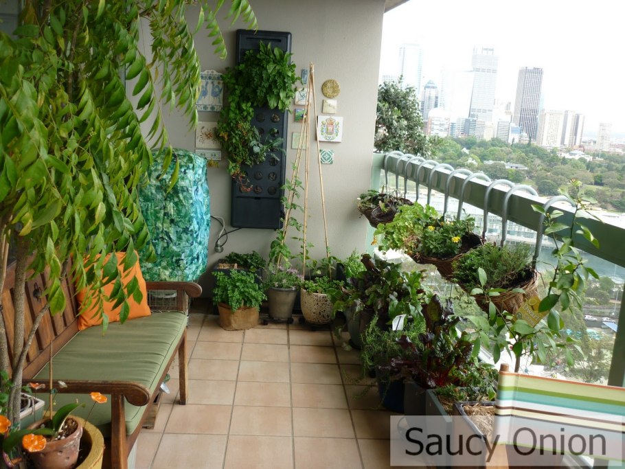 Комнатные цветы на балконе