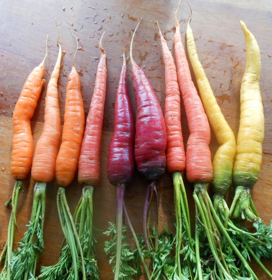 Морковь чаровница Золотая