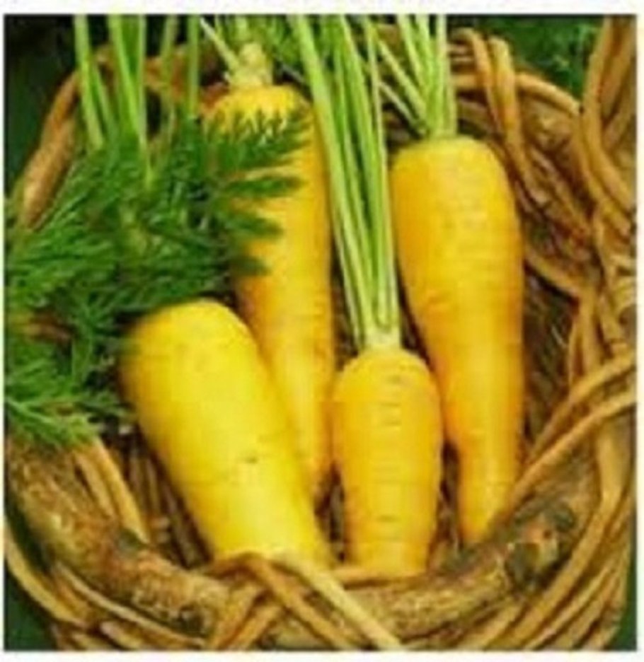 Желтая морковь