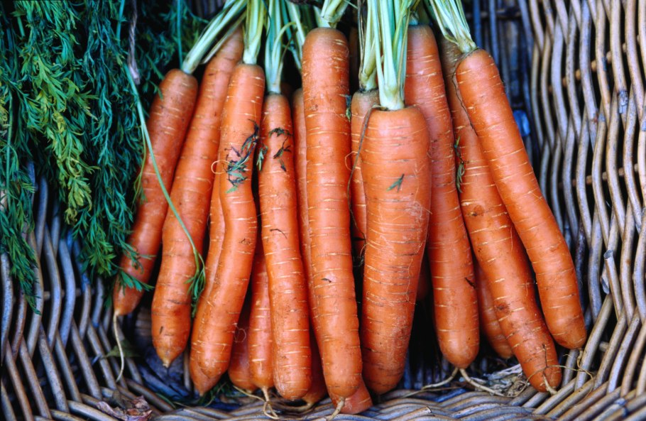 Йеллоустонский национальный парк (штат Вайоминг)