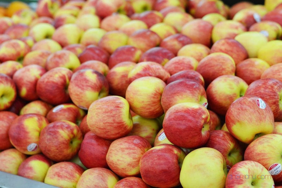 Сорт яблони амброзия