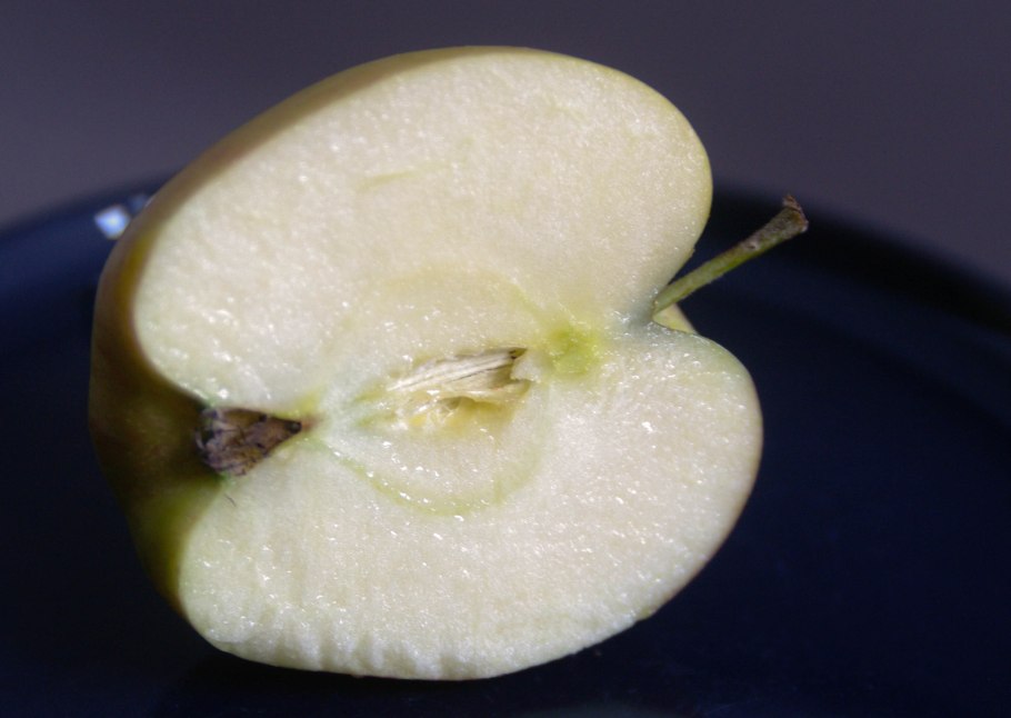 Яблоня амброзия