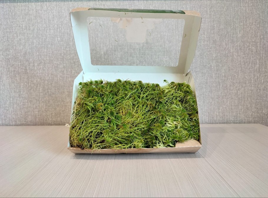 Мох сфагнум субстрат