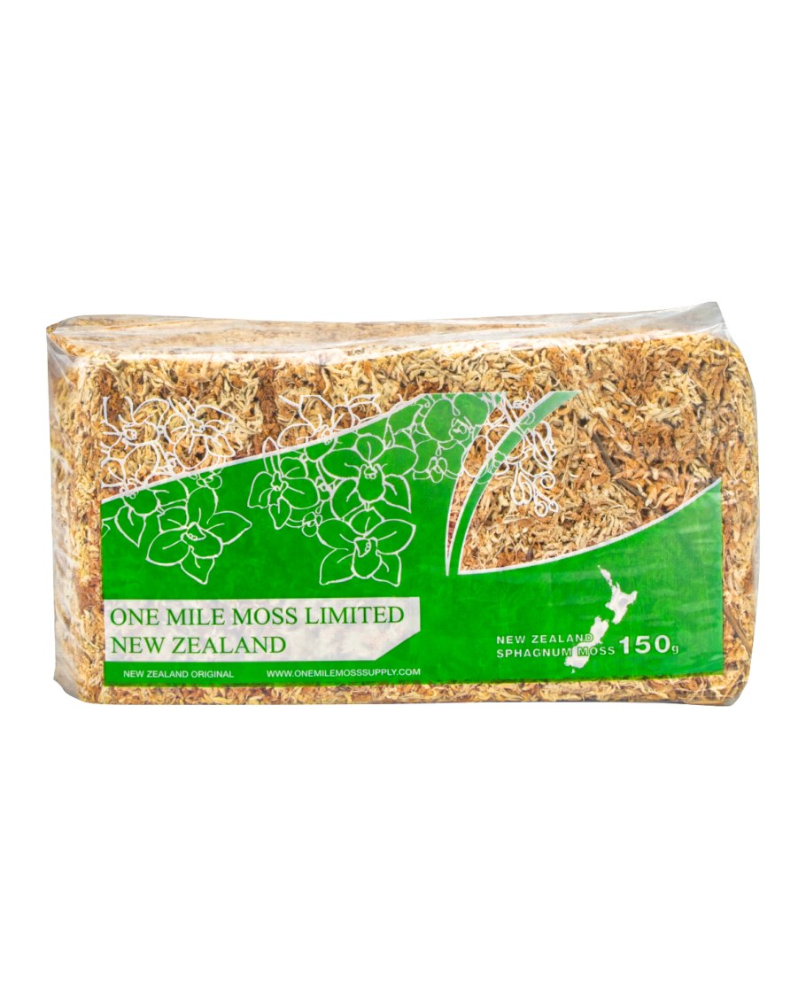 Террариум для живородящей ящерицы