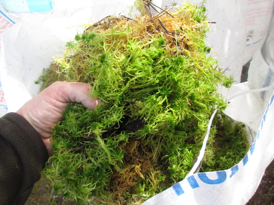 Лиана Repti-Zoo 0220rv