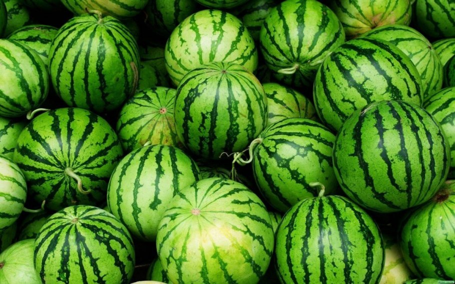 Смешной Арбуз