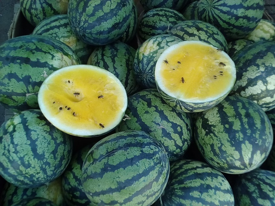 Таджикистан дыни и арбузы