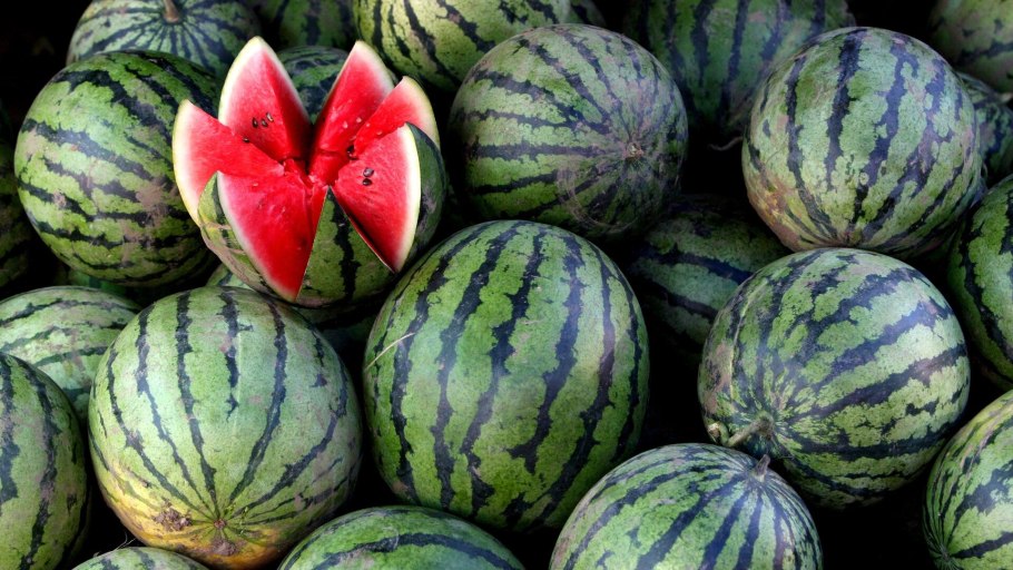 Узбекистанские арбузы