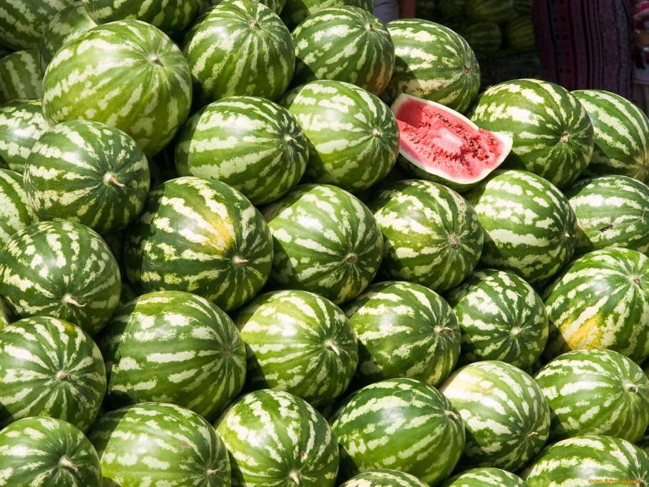 Базар арбузов
