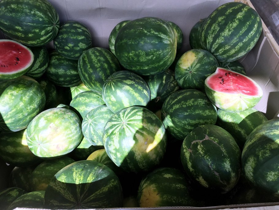 Самый большой Арбуз