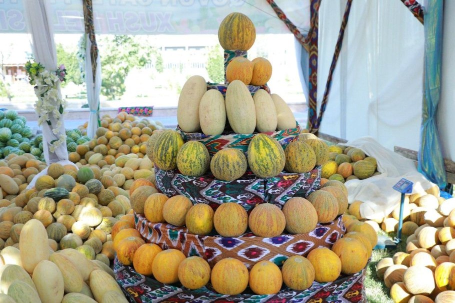 Қовун сайли