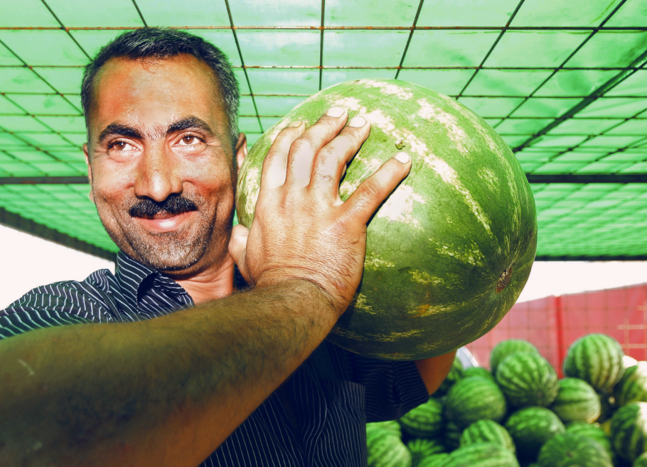 Человек дыня