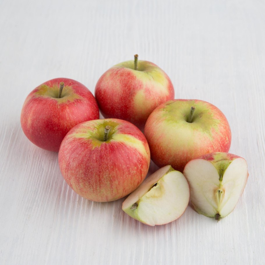 Сорт яблок Пепин Шафран