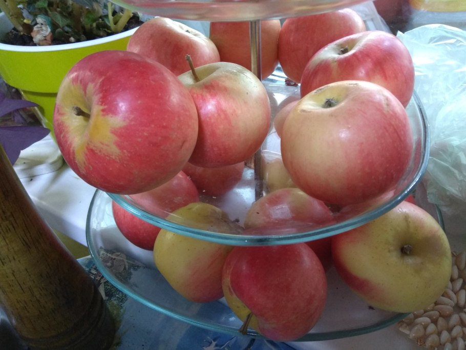 Пепин шафранный