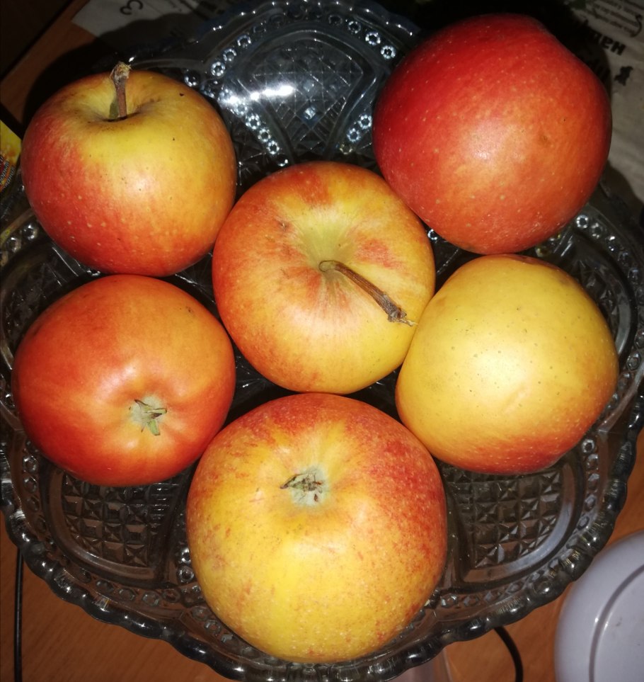 Пепин Шафран Мичурин