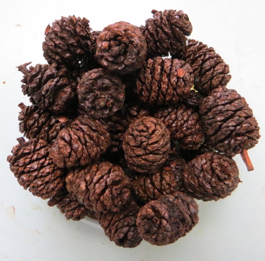 Ольха (шишки), 50гр