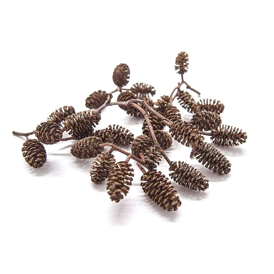 Alnus glutinosa (ольха европейская)