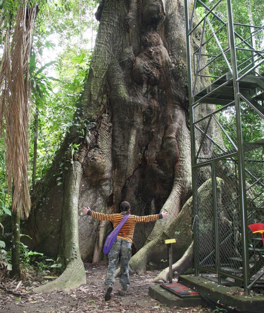 Сельва Перу