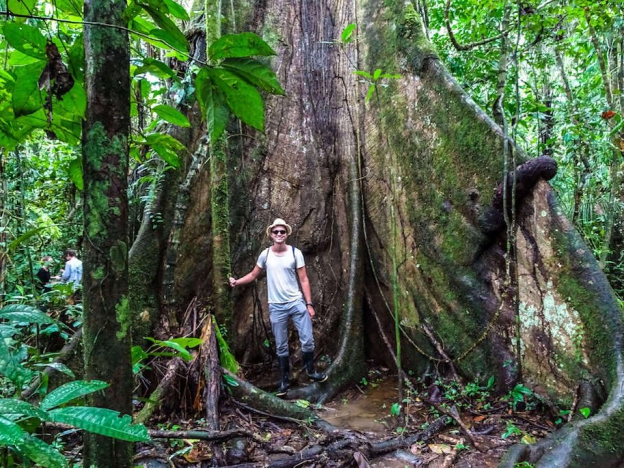 Пауини Амазонас