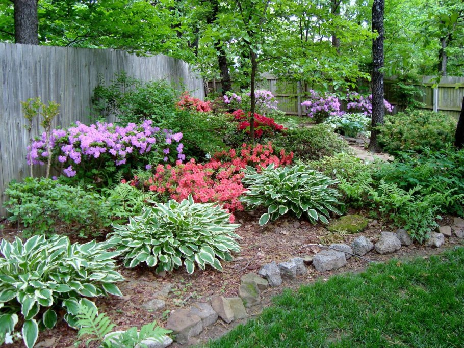 Альпийская горка миксбордер Хоста