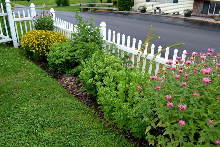 Цветочные клумбы вдоль забора