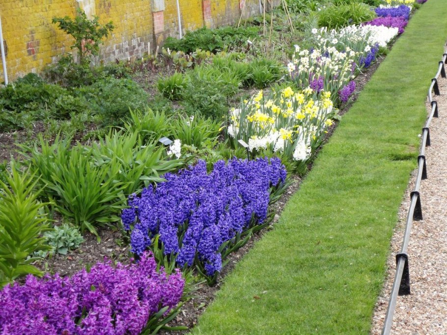 Длинная узкая клумба