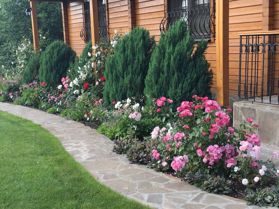 Рабатка бордюр миксбордер