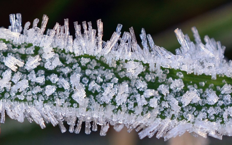 Кристаллы льда