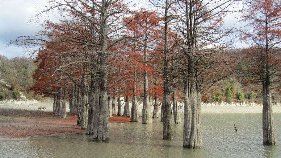 Кипарисовое озеро Сукко