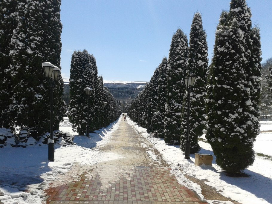 Курортный парк Кисловодск зимой
