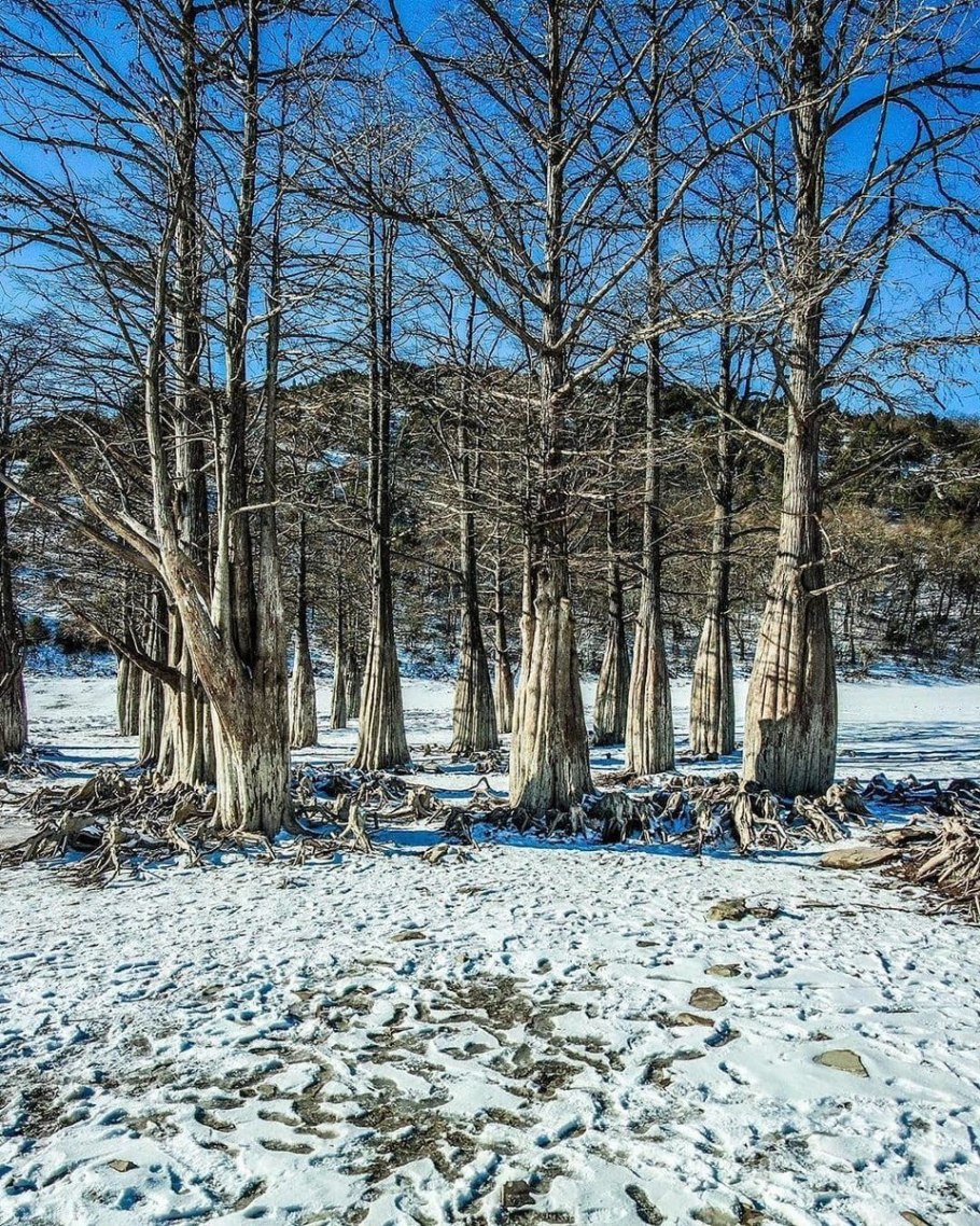 Кипарисовое озеро Сукко