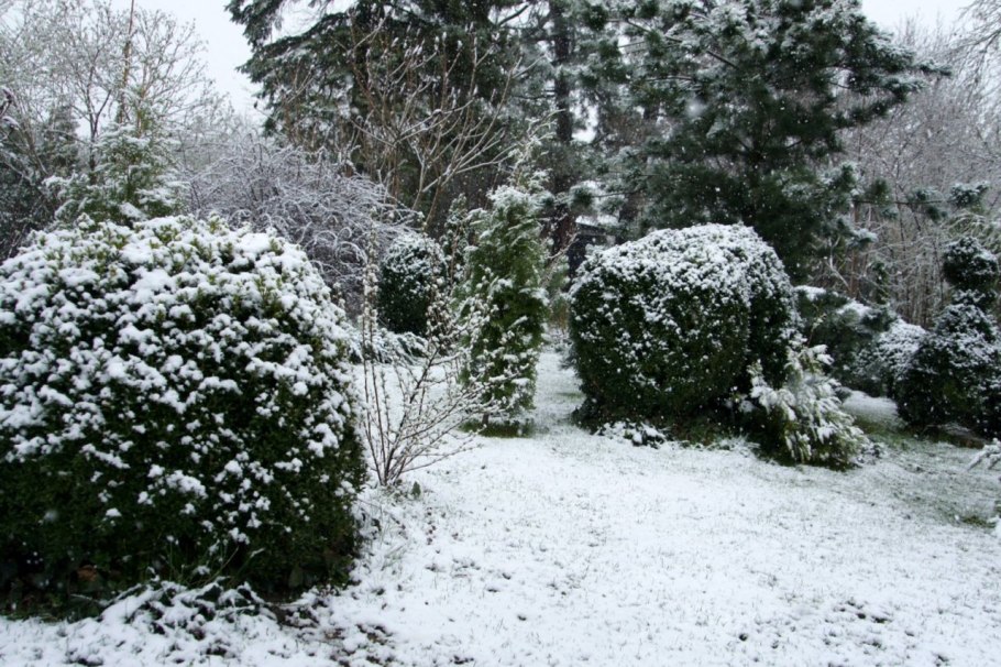 Пейзажи Италии кипарисы