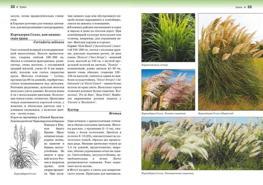 Ботаника виды растений