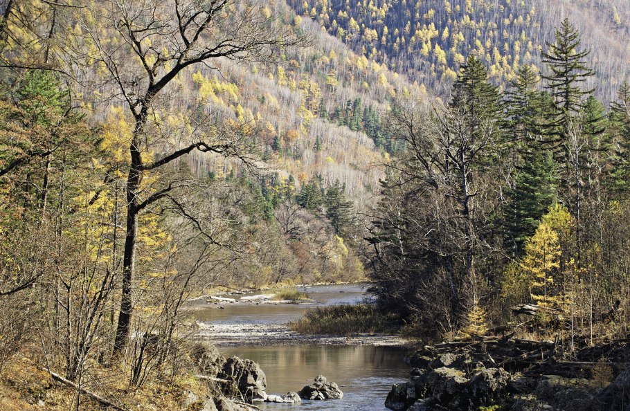 Окский Террасный заповедник