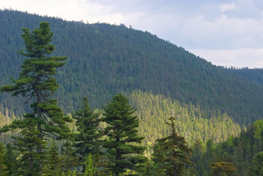 Калужские Засеки Калуга