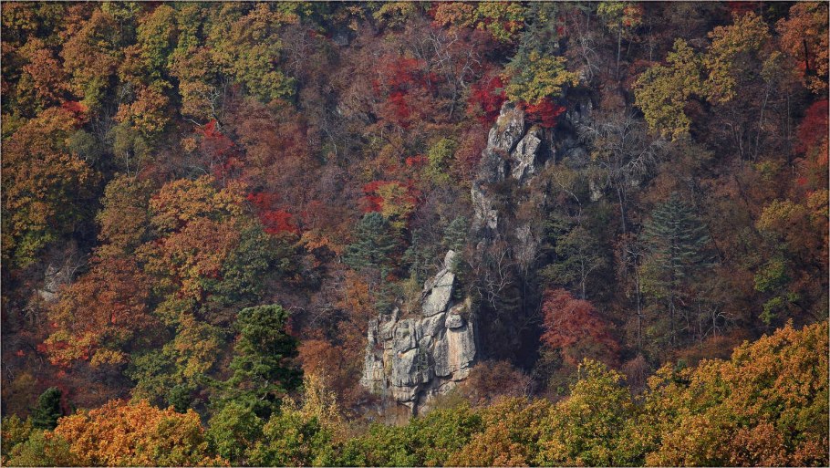 Широколиственные леса Финляндии