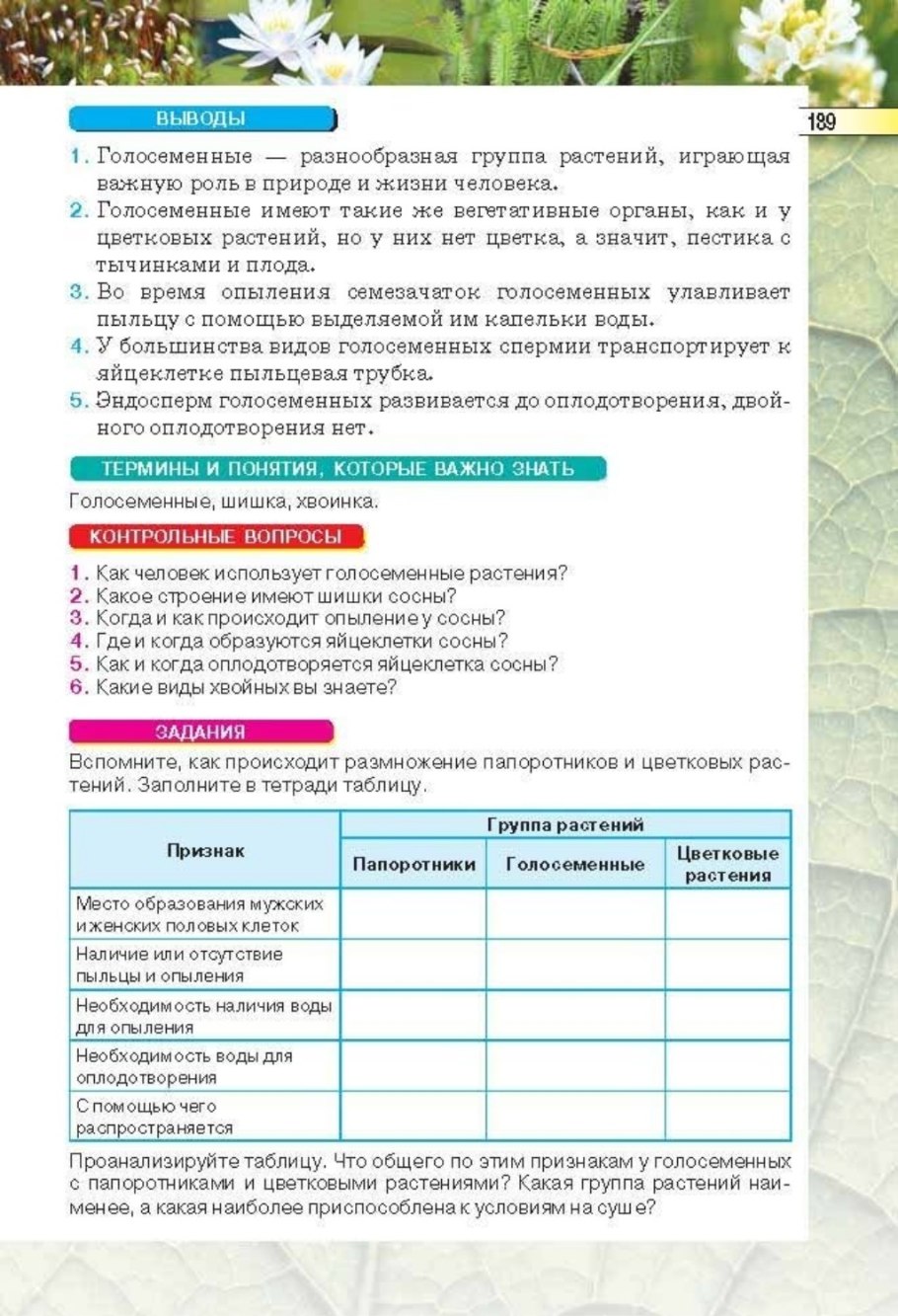 Общая характеристика папоротникообразных таблица