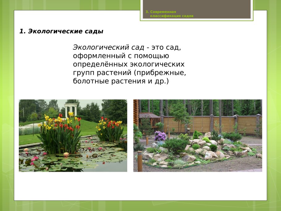 Светолюбивые гигрофиты