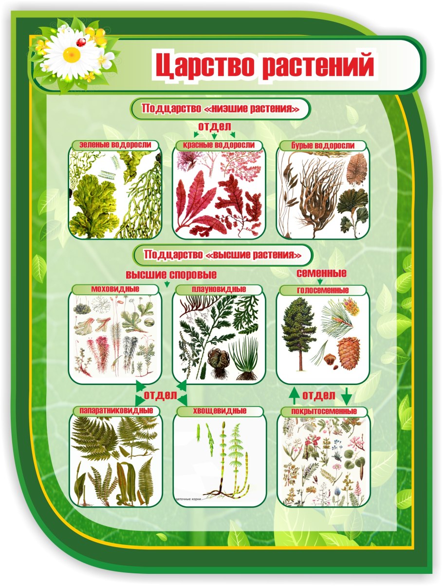 Карбюратор leader pz19jb