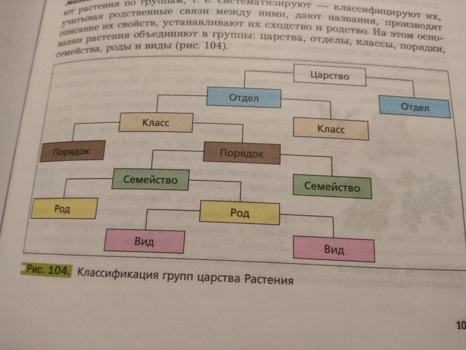 Классификация растений