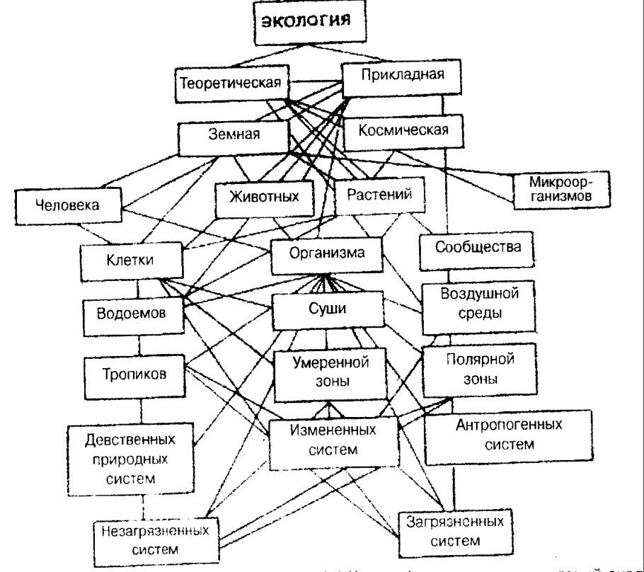 Жизненные формы растений таблица
