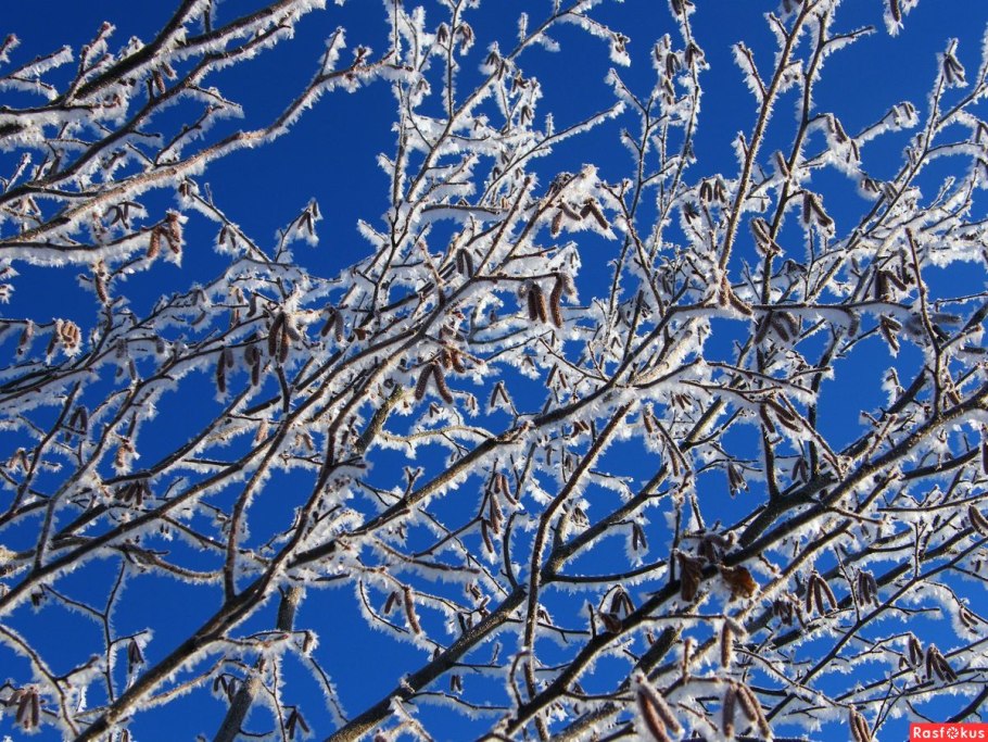 Серебро зимы