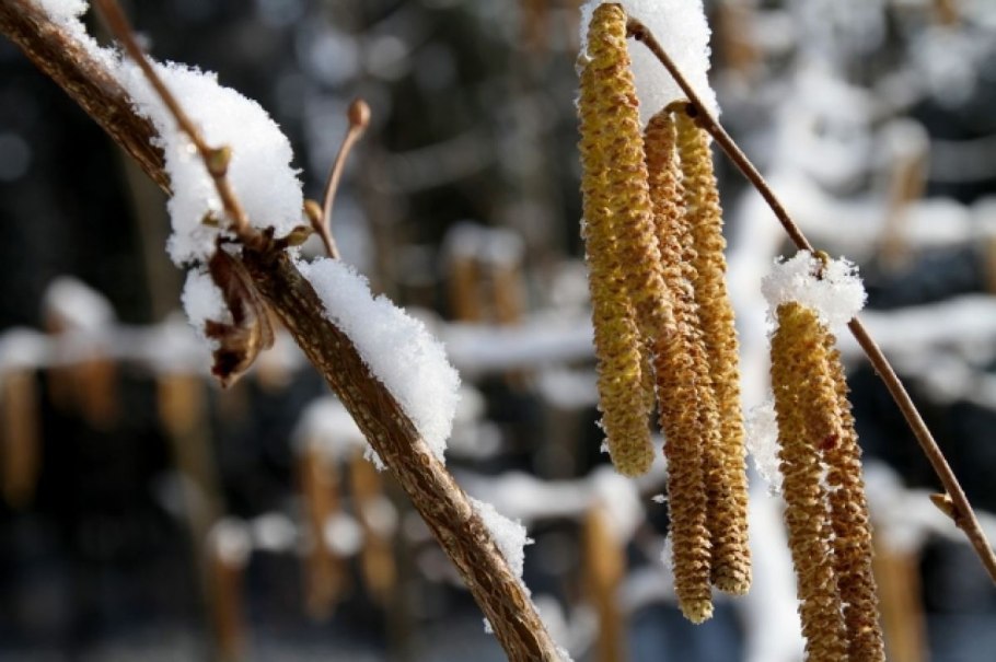 Весна оттепель