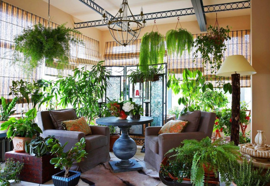 Green Sun фитостены