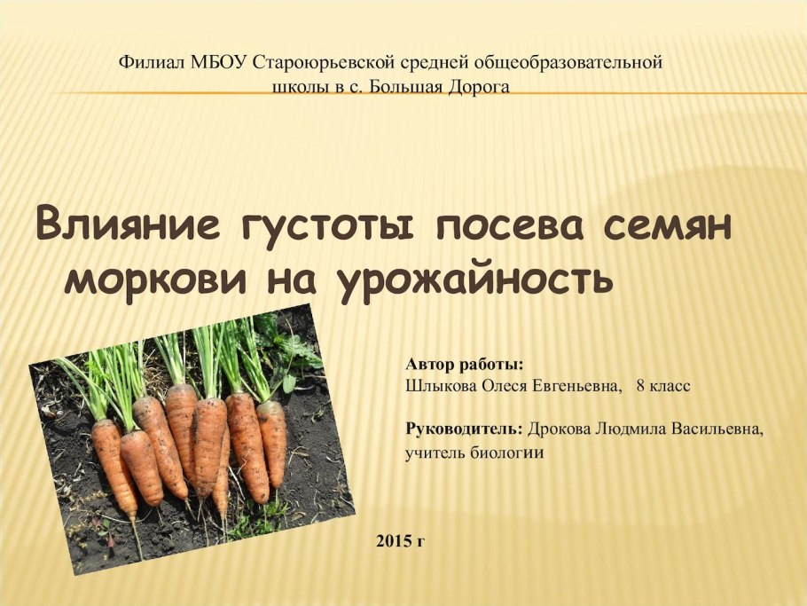 Схема этапы прорастания семян